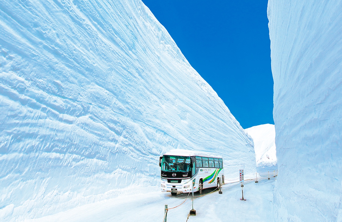 Image result for à¸à¸³à¹à¸à¸à¸«à¸´à¸¡à¸°