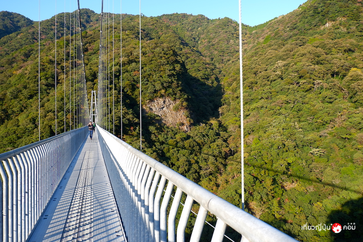 เที่ยวญี่ปุ่น ดอทคอม สะพานแขวนอะยะเทรุฮะ (Aya Teruha Suspension