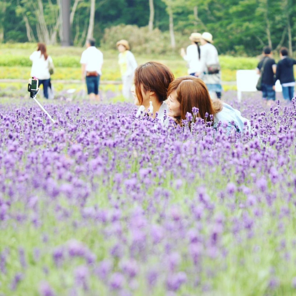 เที่ยวญี่ปุ่น ดอทคอม ชมทุ่งลาเวนเดอร์ Tambara ที่จังหวัดกุนมะ ไปจาก