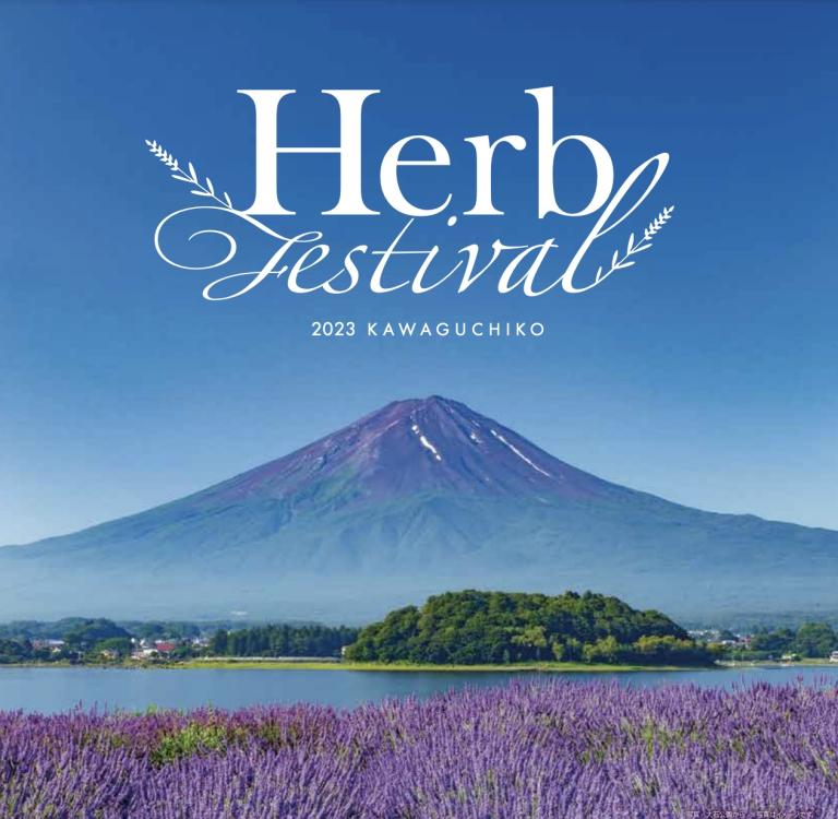 เที่ยวญี่ปุ่น ดอทคอม ทุ่งลาเวนเดอร์ที่งาน Fuji Kawaguchiko Herb